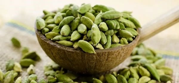 فروش هل یک مثقالی + قیمت خرید به صرفه